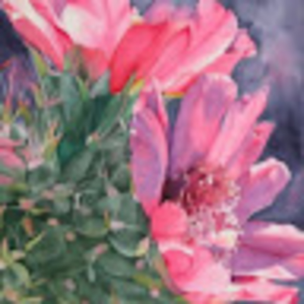 Meet your Posher, Jen